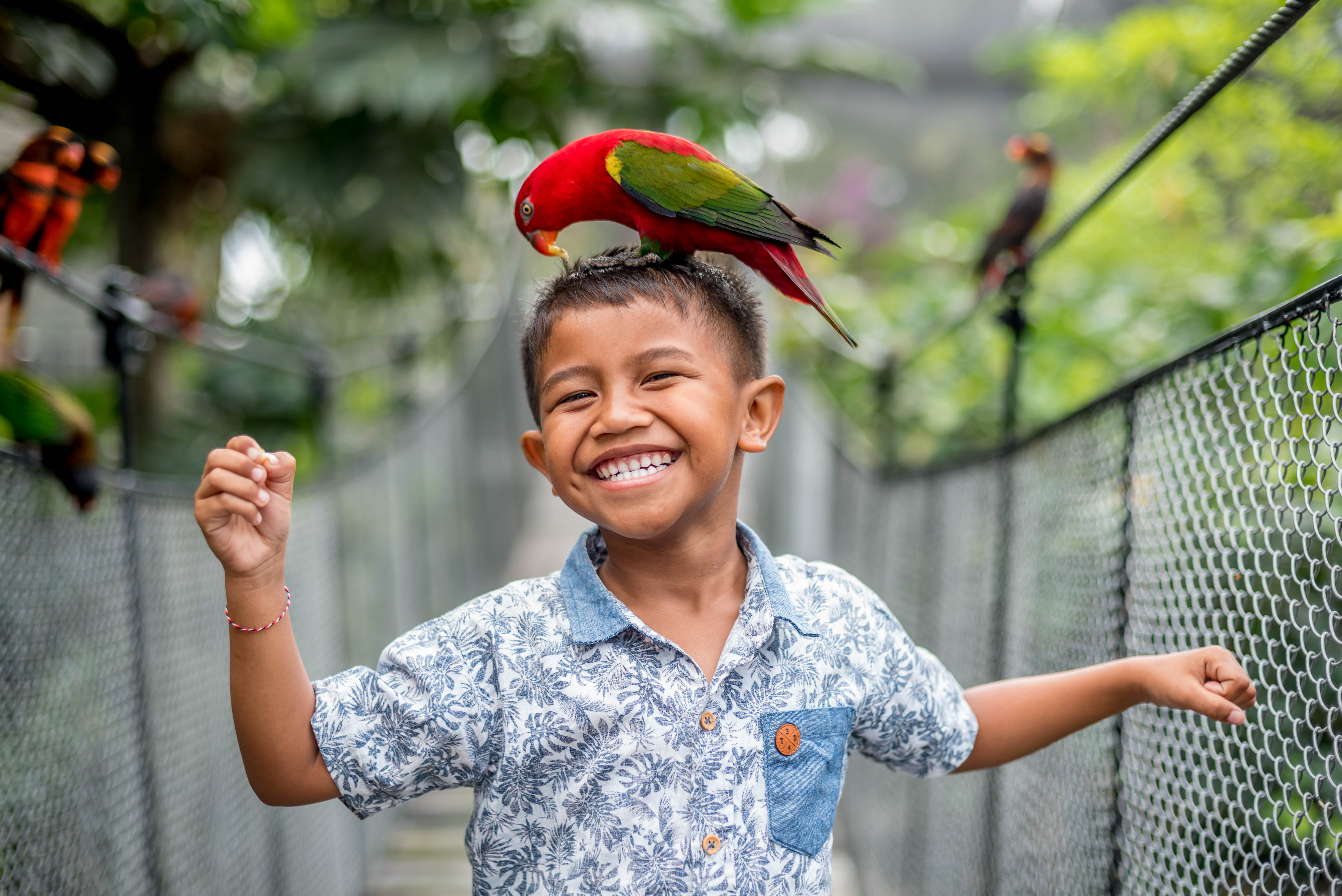 Bali Bird Park (Child) - Domestic